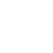 bullseye white